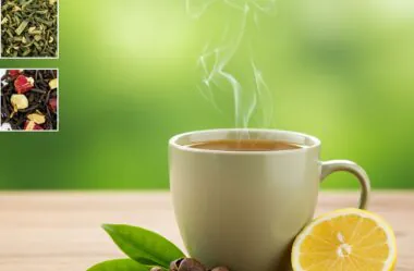 Best Teas for Weight Loss and How to Take Them Correctly